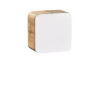 Craft Gold Eiche || Weiss