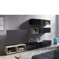 Artisan Eiche || Schwarz